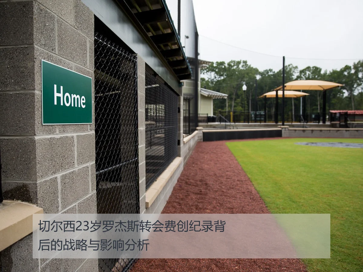 切尔西23岁罗杰斯转会费创纪录背后的战略与影响分析